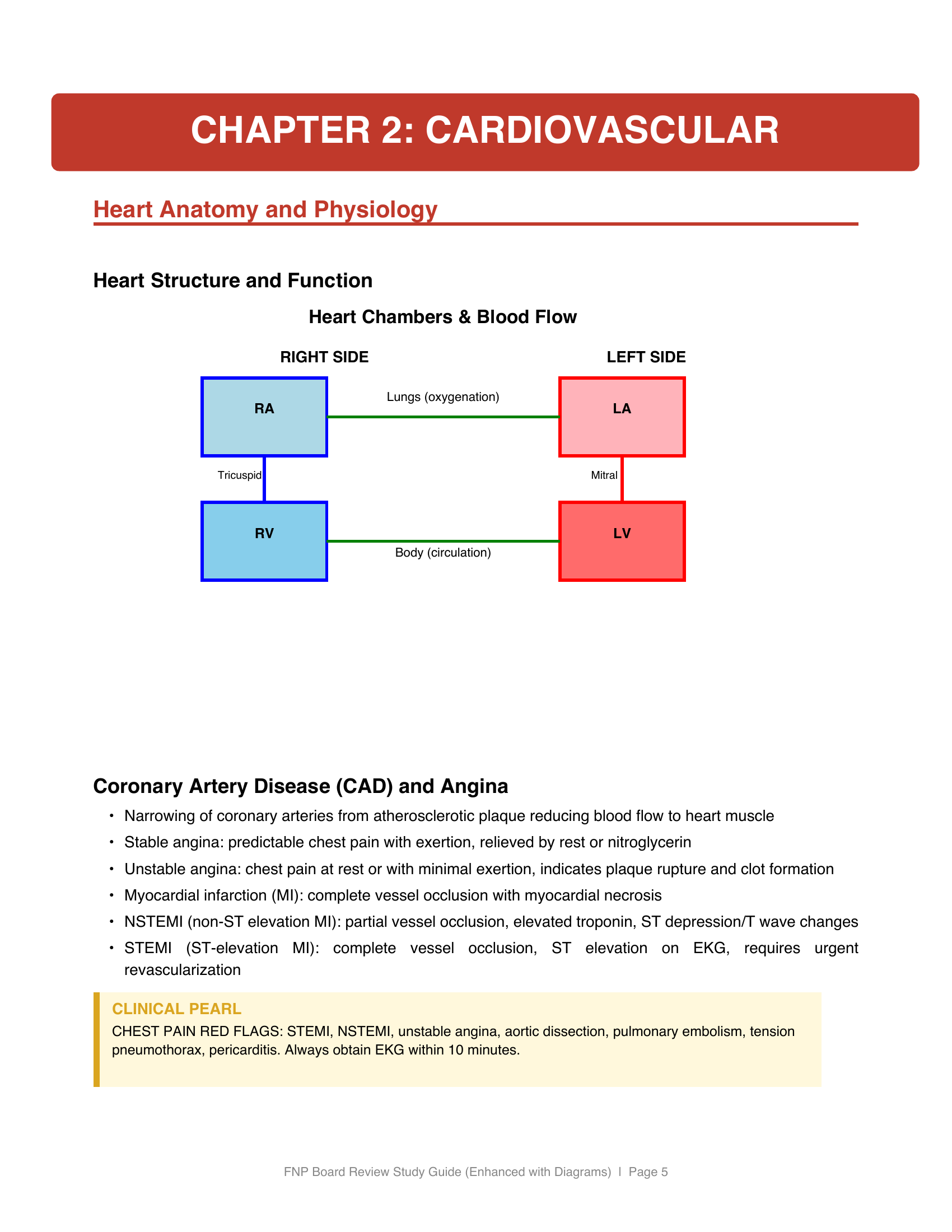 FNP Board Review - Page 1