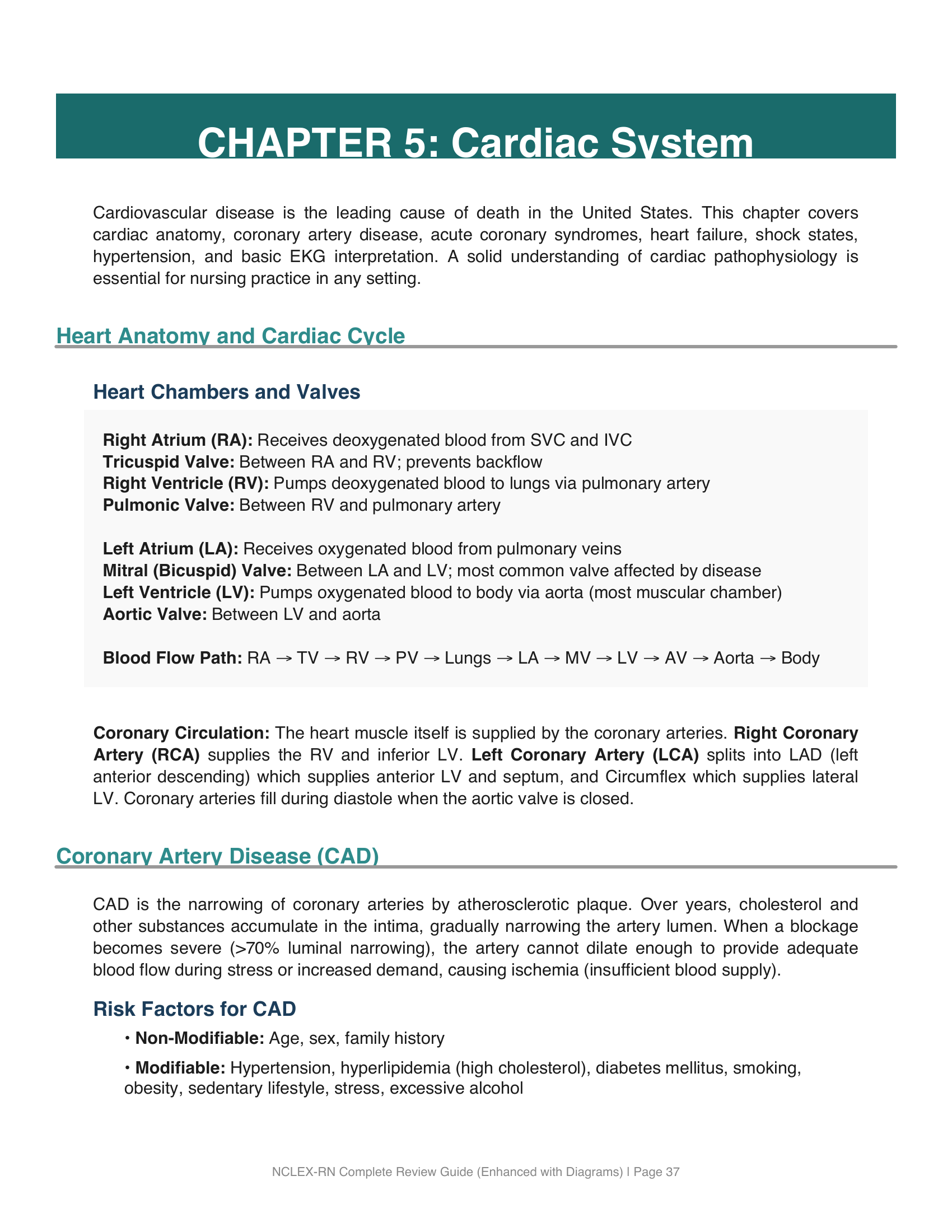 NCLEX-RN Review - Page 1